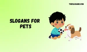 Read more about the article Best Slogans for Pets to Inspire Love & Care