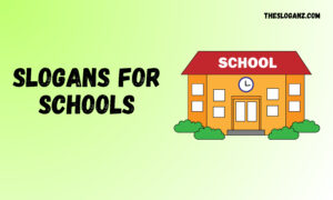 Read more about the article Best Slogans for Schools to Inspire Students