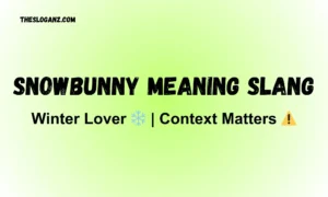 Read more about the article Snowbunny Meaning Slang: What It Really Means in 2026