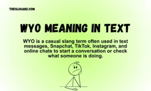 Read more about the article WYO Meaning in Text: What It Really Means & How People Use It Online [2026]
