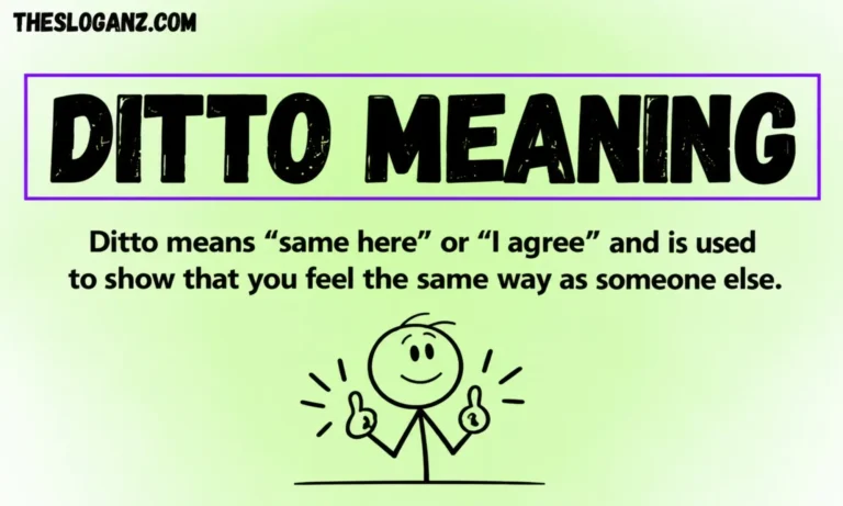 ditto the one word text