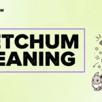 Ketchum Meaning: Slang, Name & Pokémon Explained
